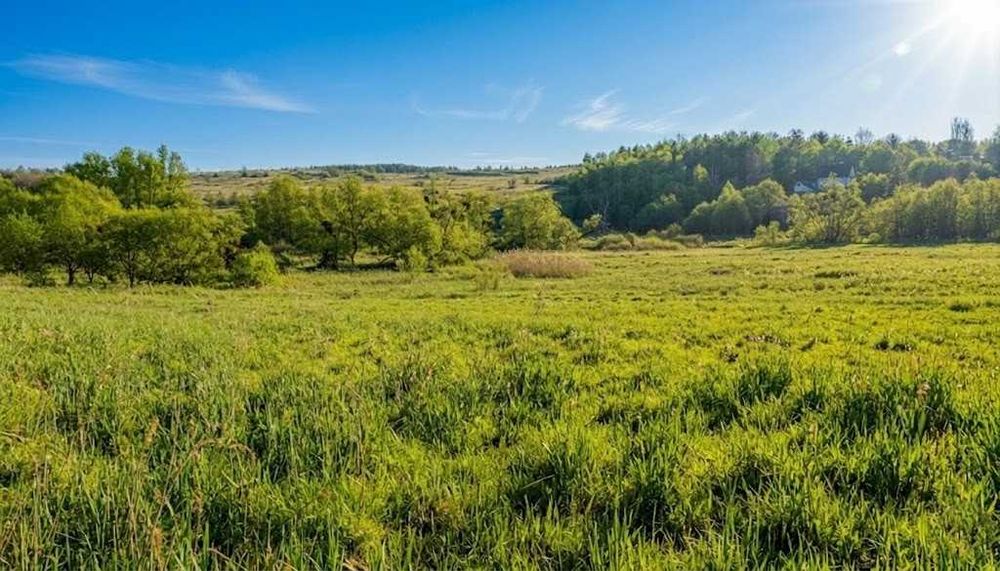 Продаж ділянки 1,70га для будівель закладів освіти. Р-н Ястремщина. ID:771