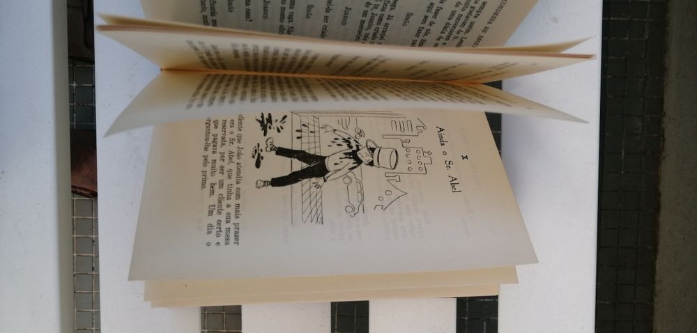 Livro com titulo "João que chora João que ri". Condessa de Segur.