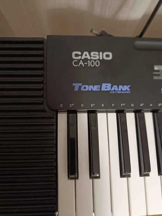 Casio CA100 + Tripod + Carrying Case64752098813697121