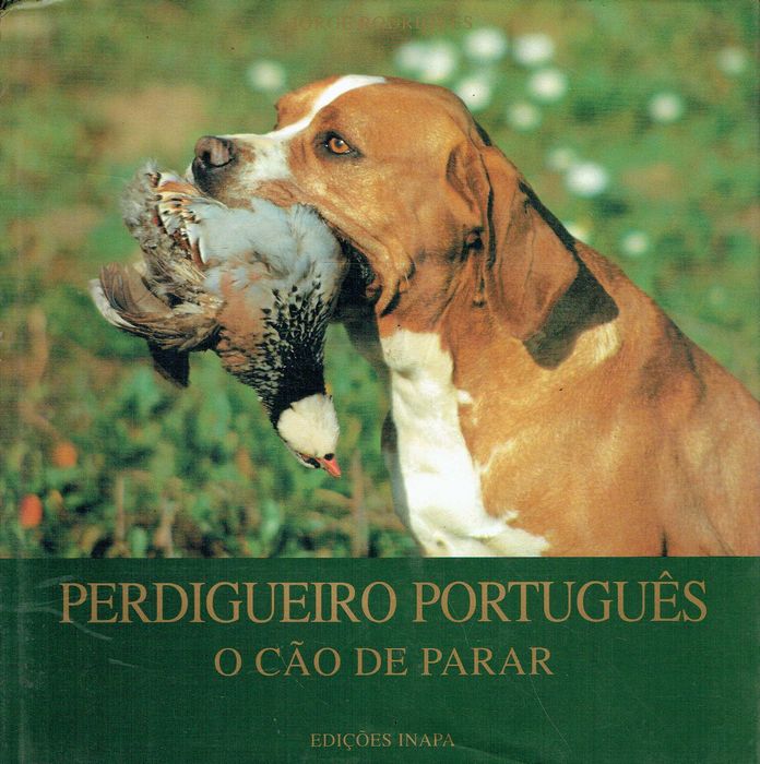 7643

Perdigueiro Português
O cão de parar
de Jorge Rodrigues