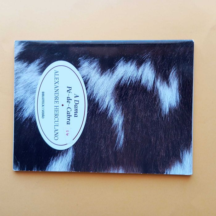 Coleção de Livros Mistos - Autores Variados - Conjunto 18