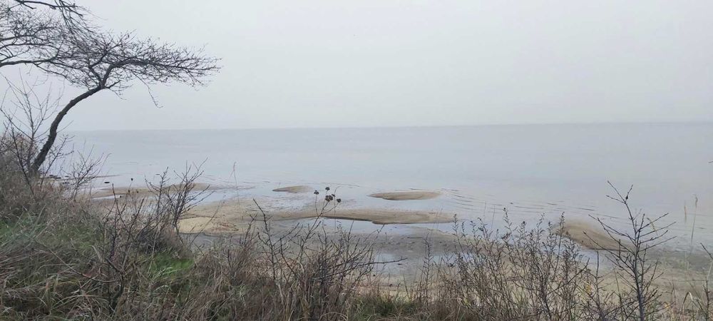 Вихід до води,  Сухолуччя, 22 сотки. Шикарне місце!
