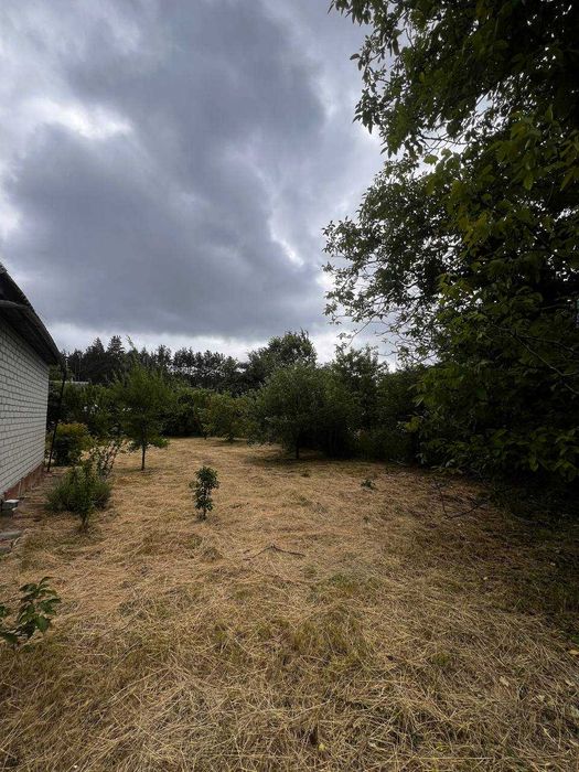 Продаж дачі в с. Будище кооператив Дружба