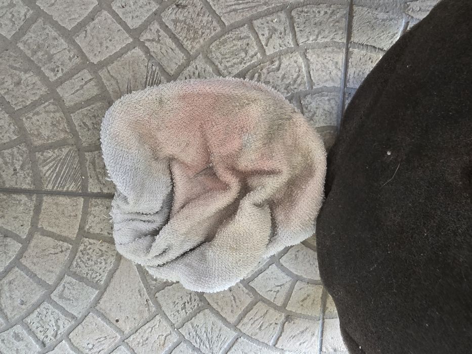 Polidora Elétrica Orbital