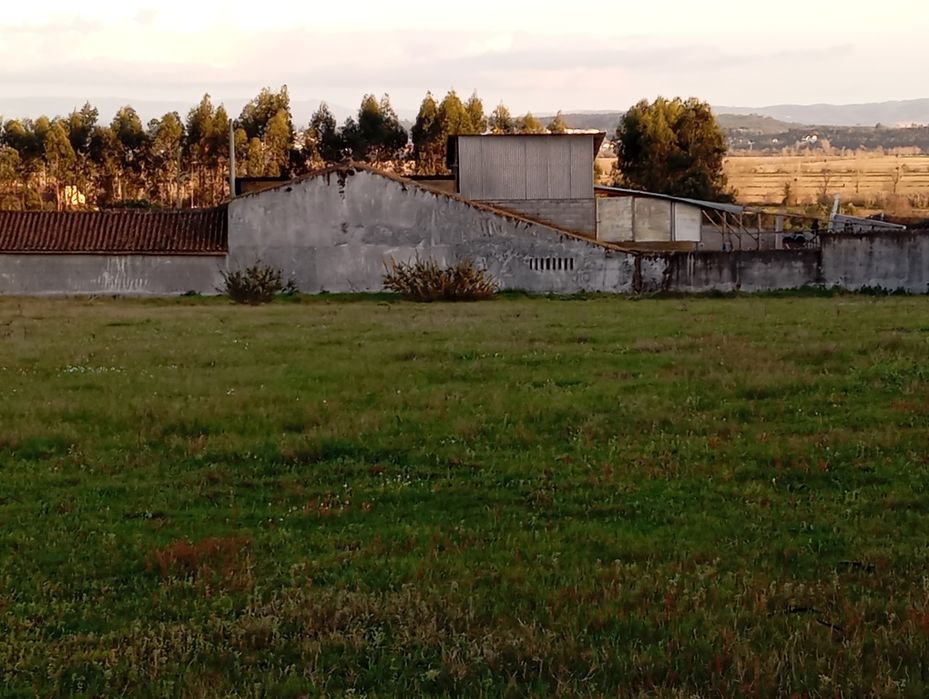 Terreno de construção nas meãs do campo ao lado da nacional 111