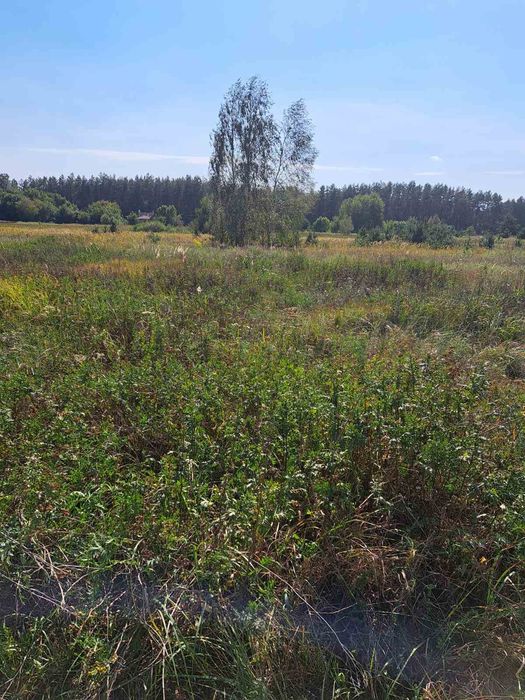 Продається земельна ділянка в мальовничому місці
