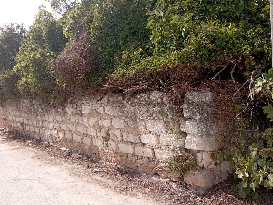 Casa de campo em ruína com terreno