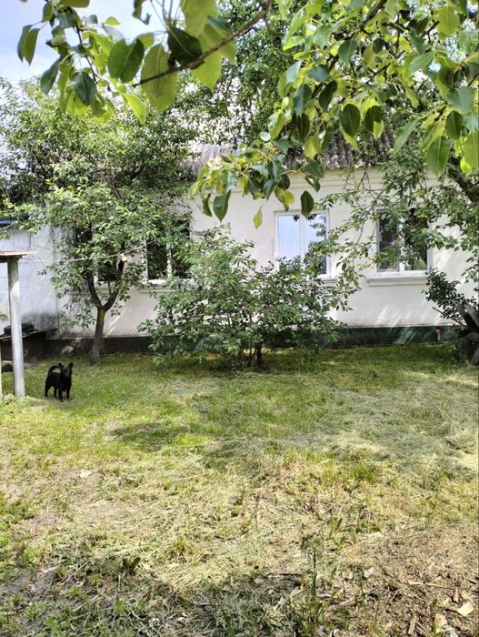 Продам будинок в с. Барвінки, Житомирська обл - Вид 5