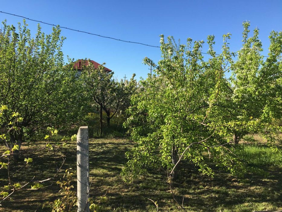 Продаж ділянки - Санжійка.