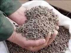 Wysłodki buraczane niemelasowane 1000 kg