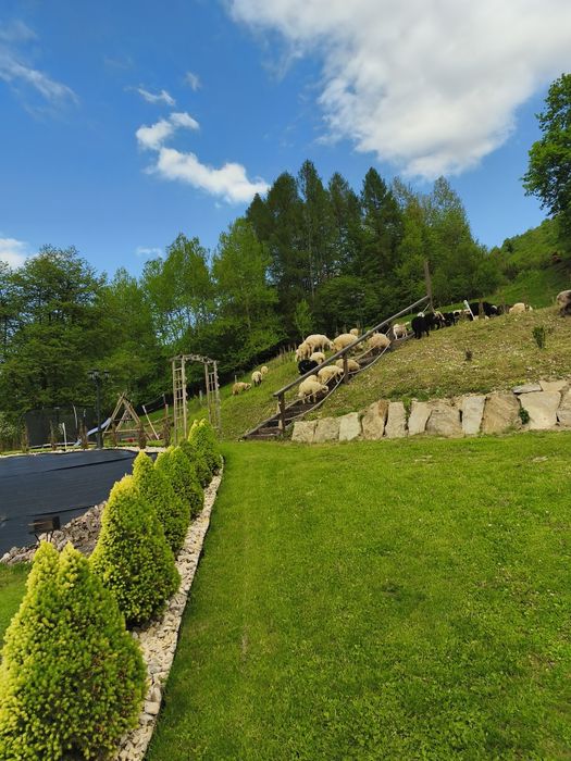 Szczawnica Pokoje, apartamenty,noclegi ,wypoczynek w górach