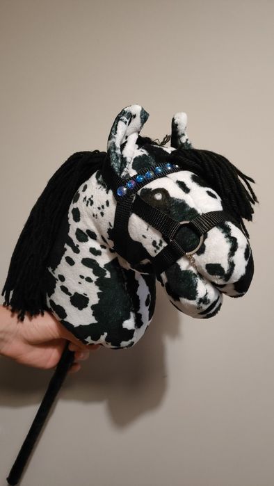 Konik hobby horse tarantowate A4