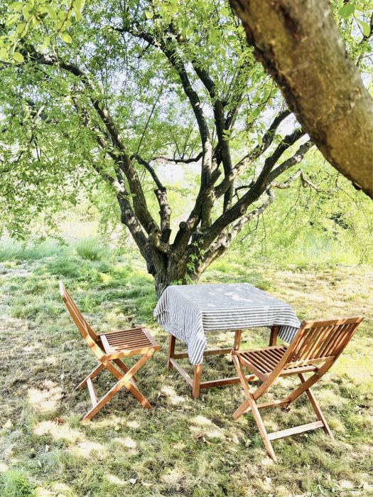 С.Ходосеевка .Киевская обл.