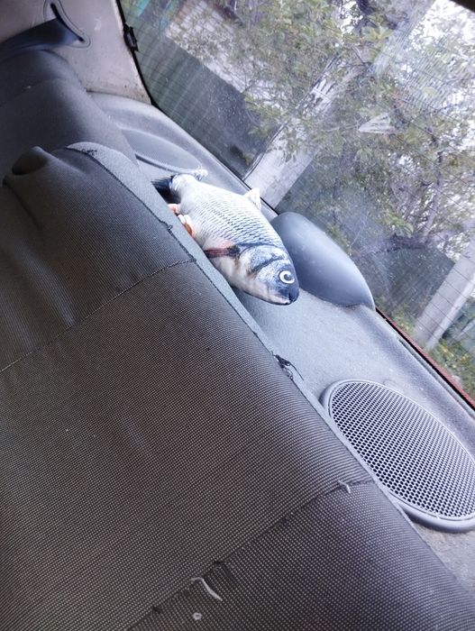 Продам Daewoo Lanos