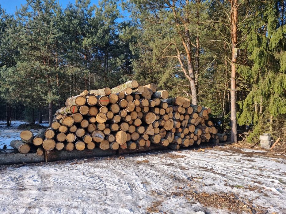 Drewno kominkowe i opałowe