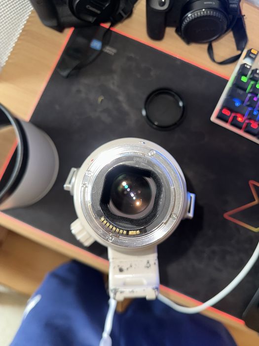 Canon EF 300mm F2.8 L