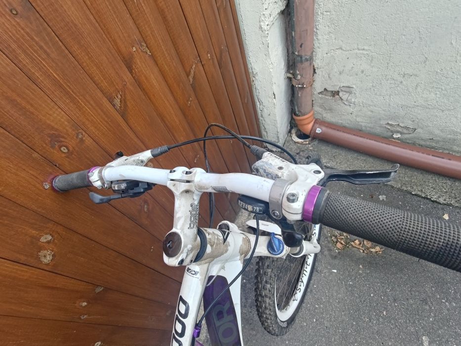 Rower górski MTB Sektor Advance XCR