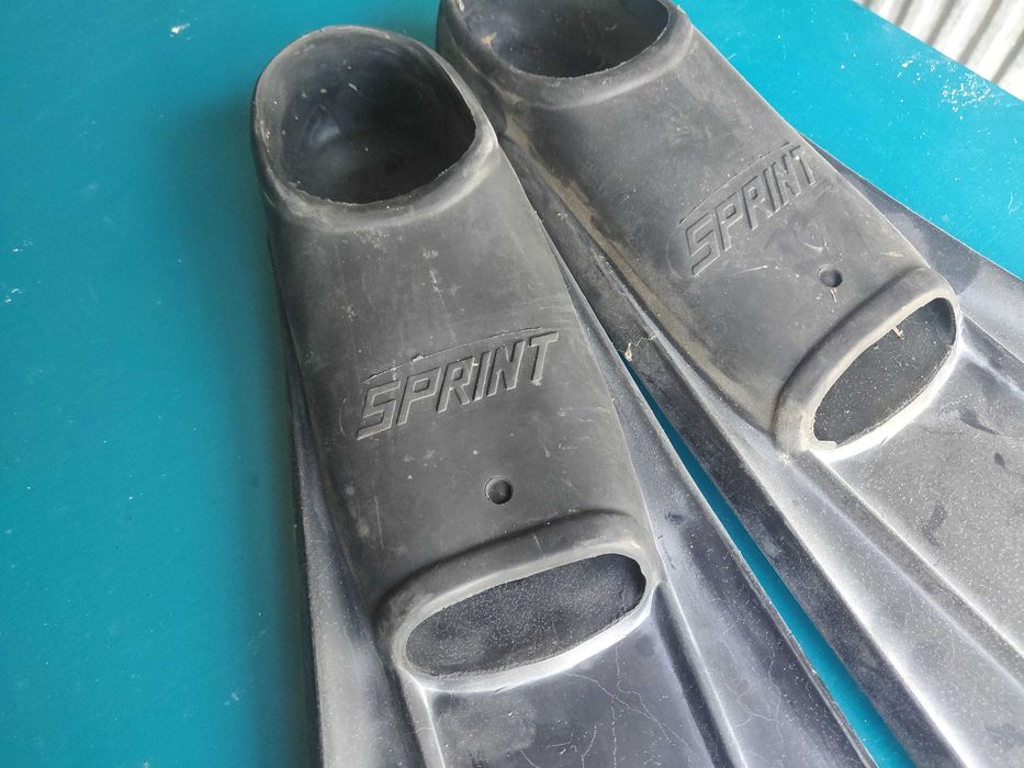 Barbatanas de adulto