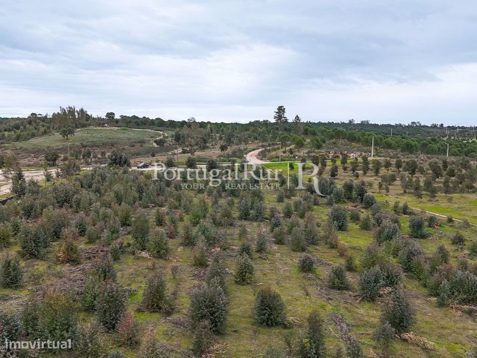 Propriedade Florestal com Potencial de Crescimento e Valorização