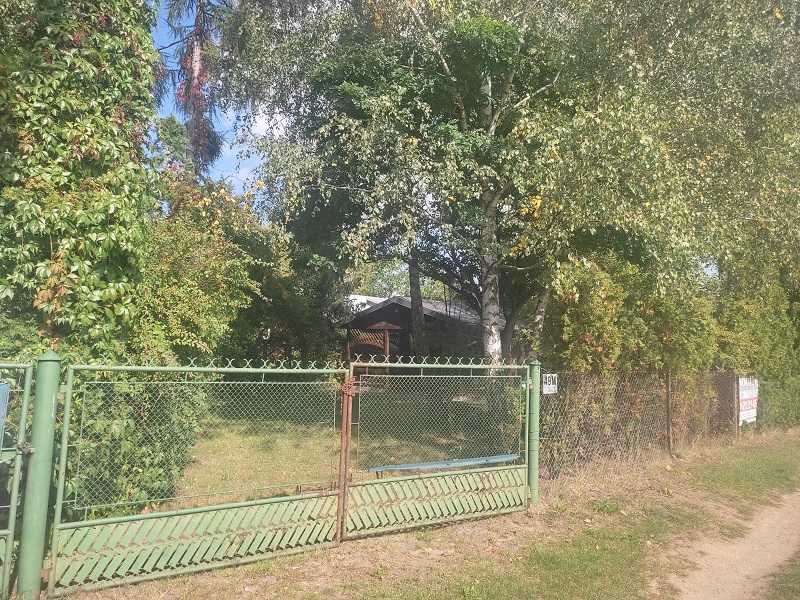 Zdjęcie 6