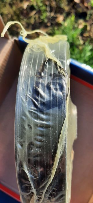 шків коленвалу Рено Сценік двигун  2.0 бензин