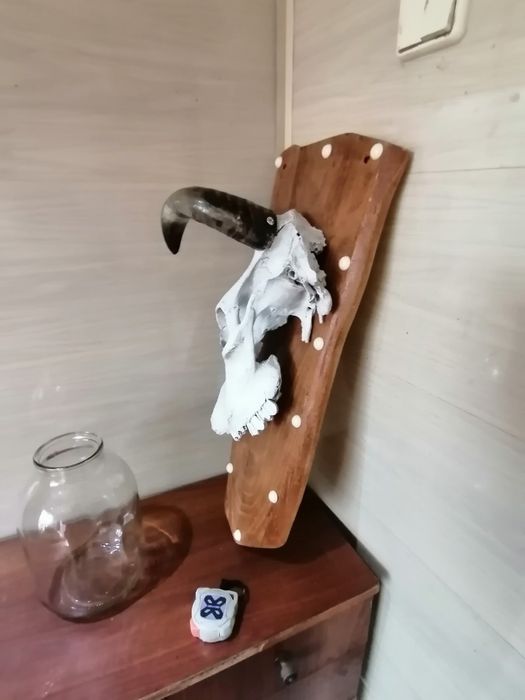 Настенный Декор Череп Голова Коровы на Дереве