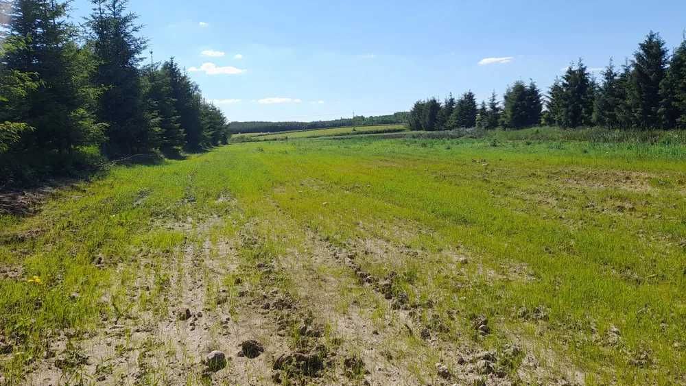 Działka nad jeziorem Brajnickim