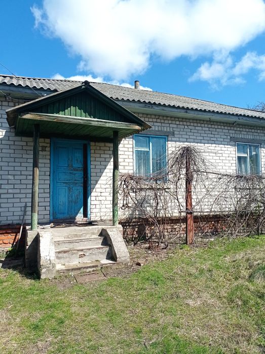 Садиба біля річки Десна. Село Ковчин.