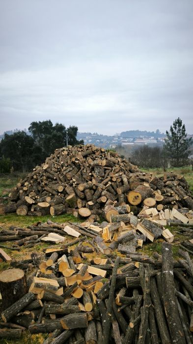 Lenha carvalho, eucalipto...