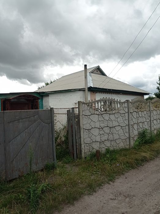 Продам садибу біля Чернігова в селі Количівка.