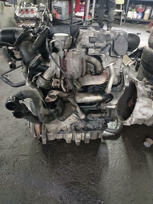 Silnik bls 1.9tdi Audi VW Seat Skoda