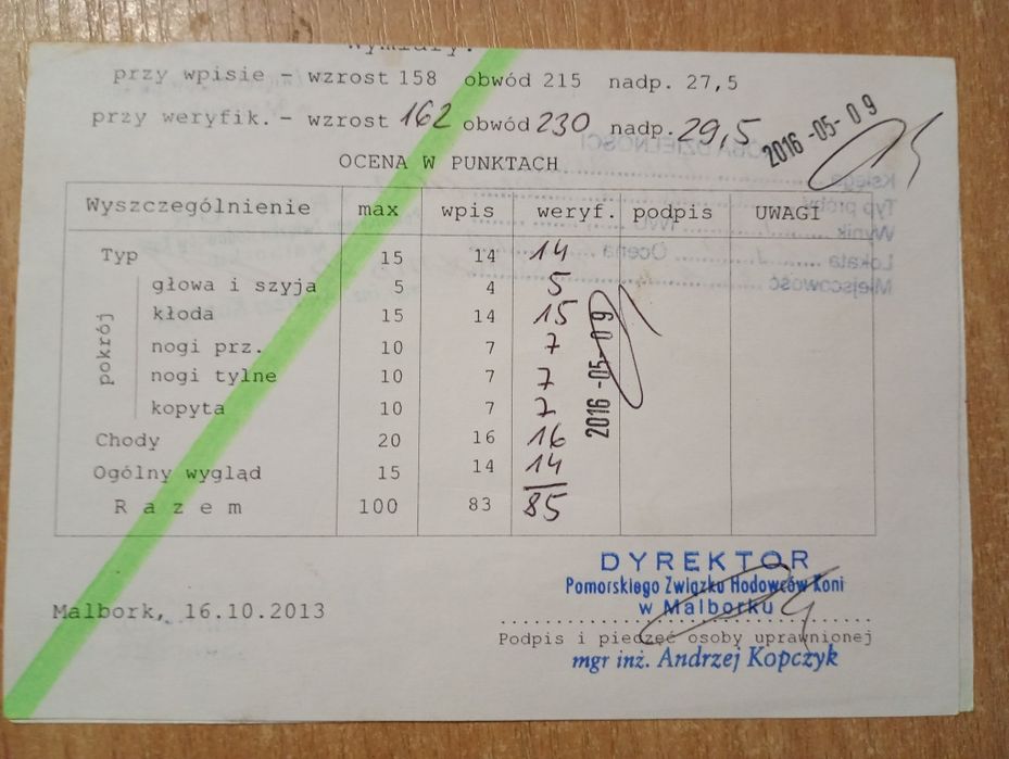 Sprzedam lub zamienię konia ogiera sztumskiego programowego