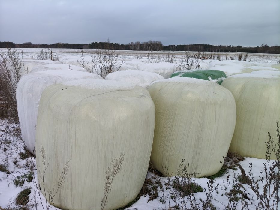 Sianokiszonka baloty