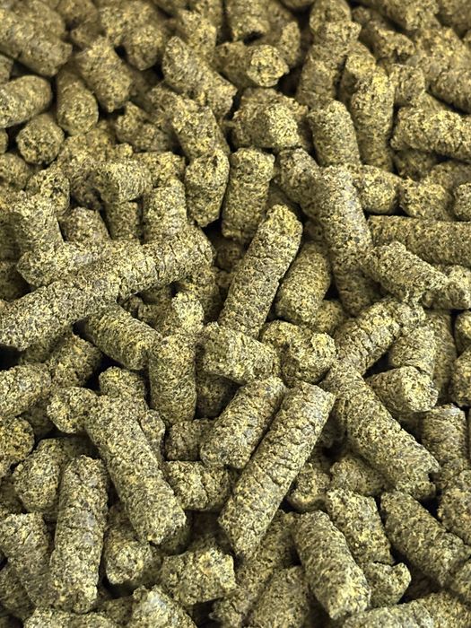 Makuch słonecznik len czarnuszka rzepak konopie sezam maka ostropest