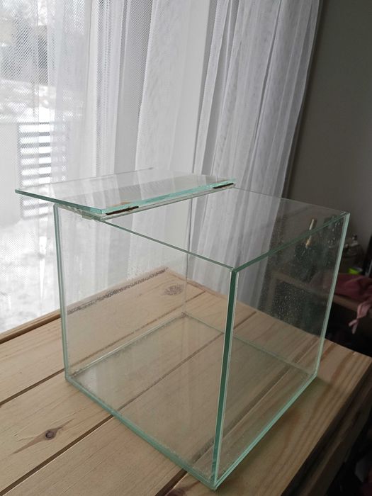 Akwarium kostka na ryby patyczaki pająki owady 20x20x20