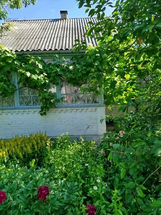 Будинок с.Іванівці Барський район Вінницька обл