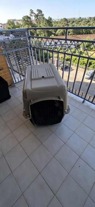 Caixa para transporte