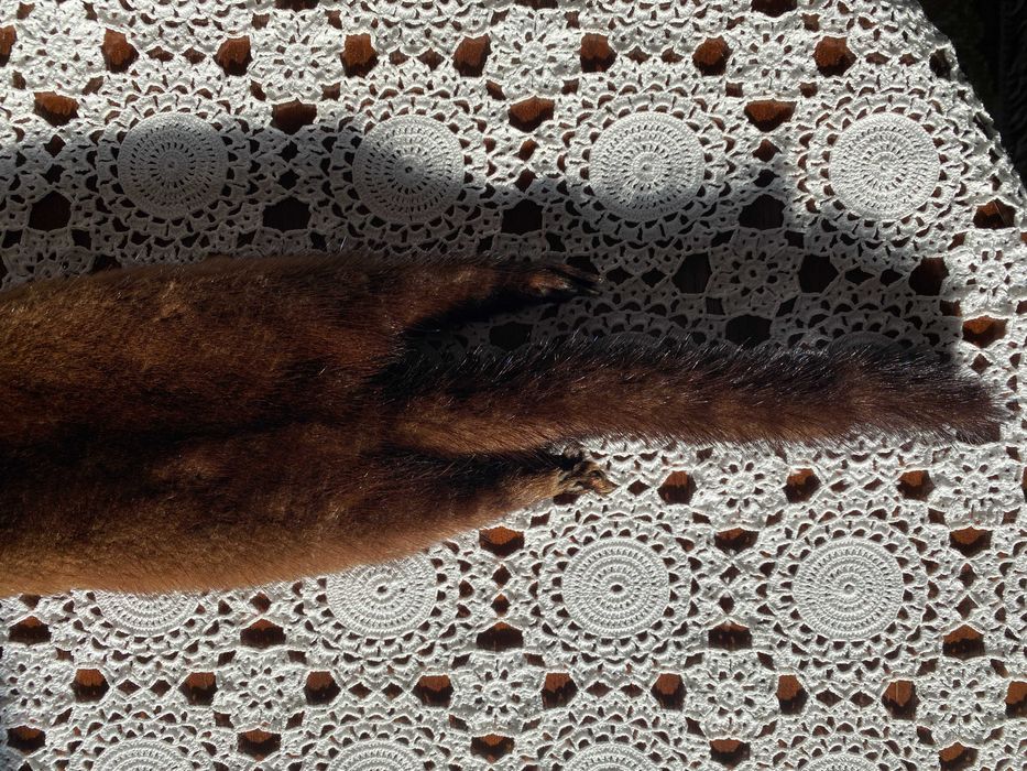 Estola em vison castanho escuro