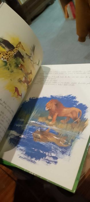 O Patinho Feio / A Corça Loura e o Grande Leão 2 Livros
