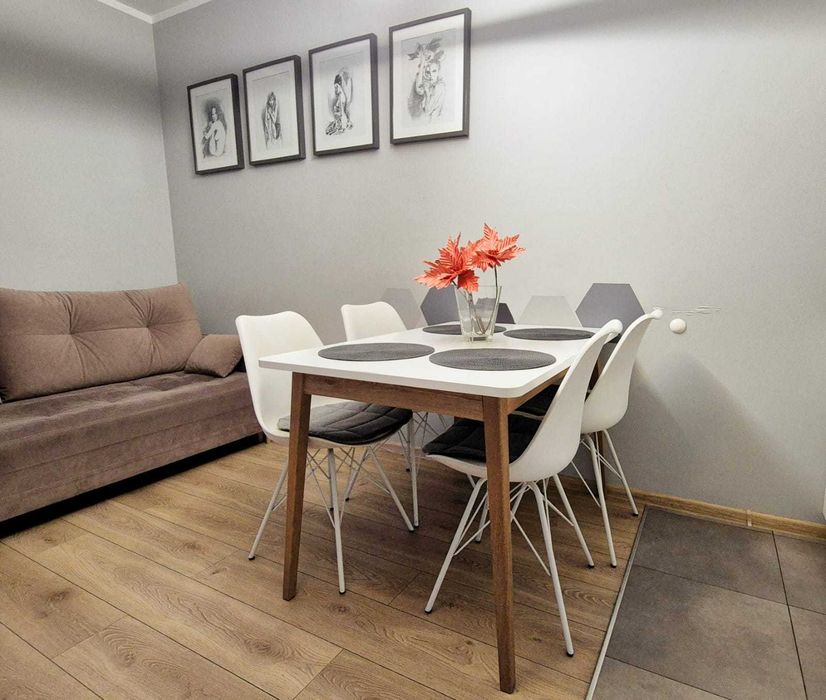 Klimatyzowany Apartament Dąbrowskiego 36