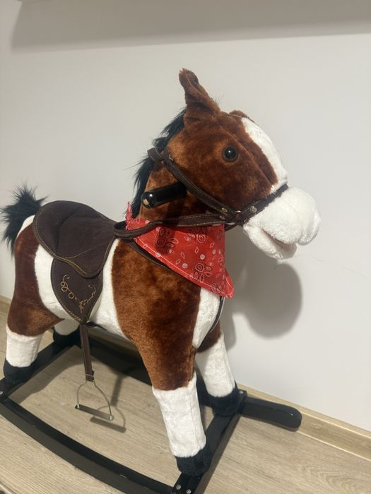 Kon na biegunach z metka