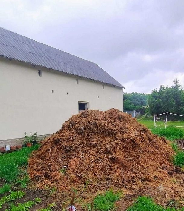 Obornik Koński - zamienię