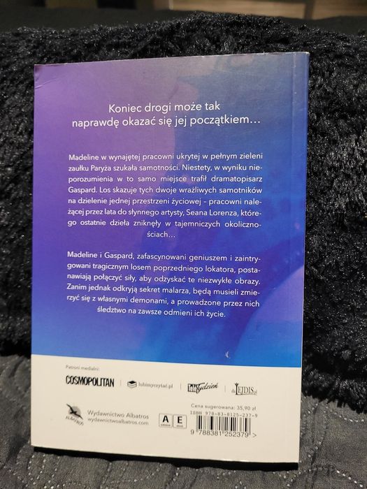Apartament w Paryżu Guillaume Musso
