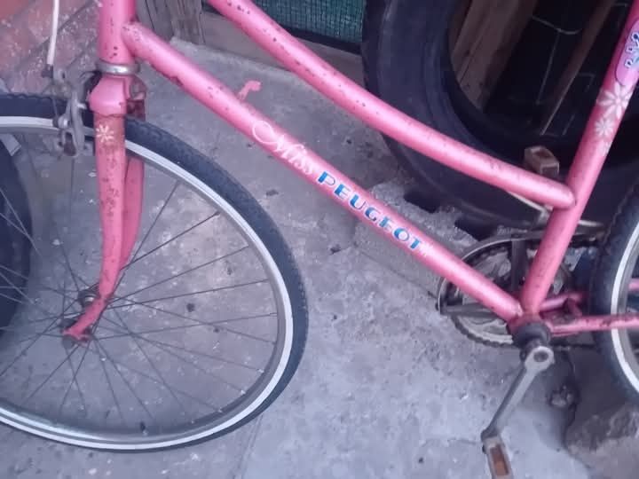 Bicicleta antiga pegeout de senhora pronta a circular