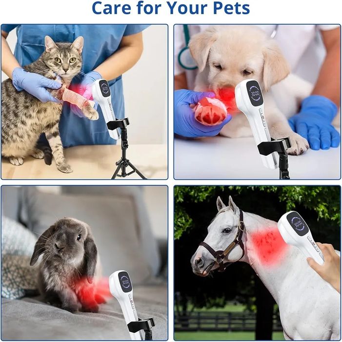 Urządzenie do terapii zimnym laserem dla ludzi i psów