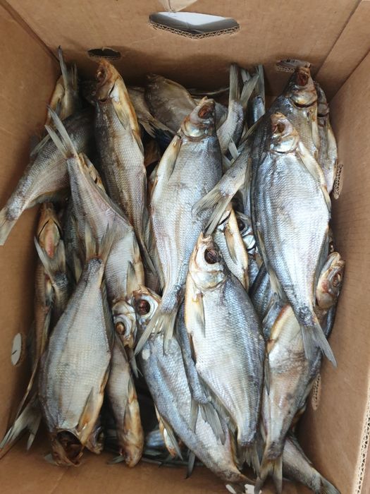 Тарань щука Лящь сушена з ікрою. Плотва вобла Синець