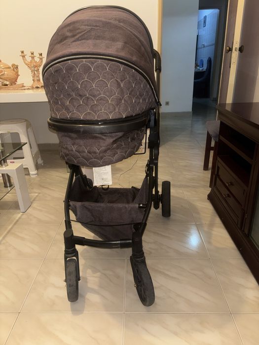 Carinho de bebé com ovo