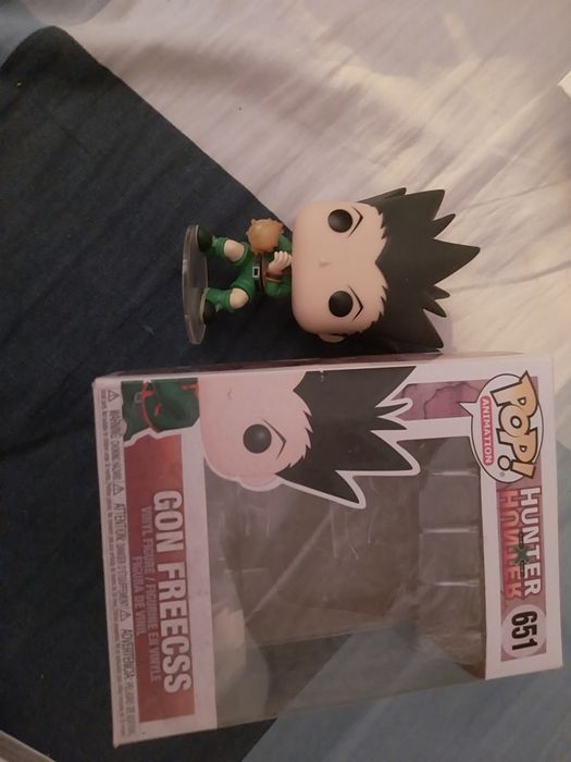 Hunter x Hunter - Gon