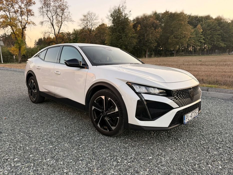 Peugeot Pozostałe Peugeot