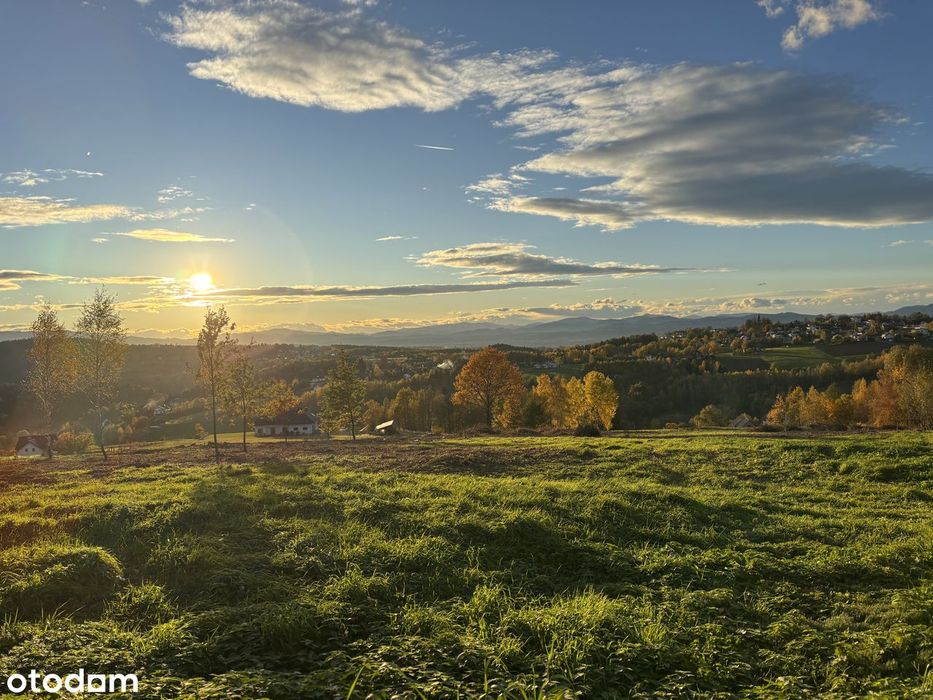 Działka budowlana - Widokowa - Mszalnica - View 2